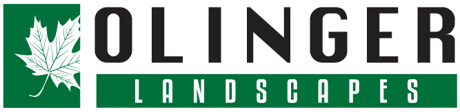 Olinger Landscapes